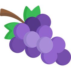 a bunch of purple grapes with green leaves