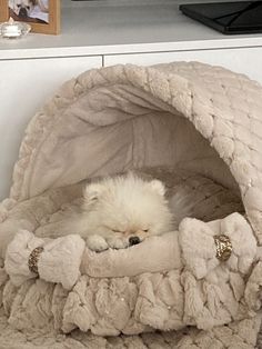 a small white dog laying in a pet bed