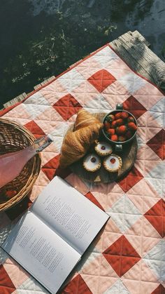 an open book sitting on top of a red and white checkered blanket next to a bowl of strawberries