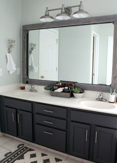 bathroom remodel before and after with plants in the bowl on the counter top