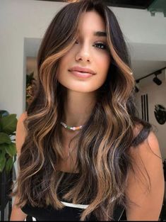 Hairstyles And Colors, Celebrities Hairstyles, Dark Brown Hair With Highlights, Hair Contouring, Highlights Ideas, Hair With Highlights, Chestnut Hair Color, Brown Hair Looks