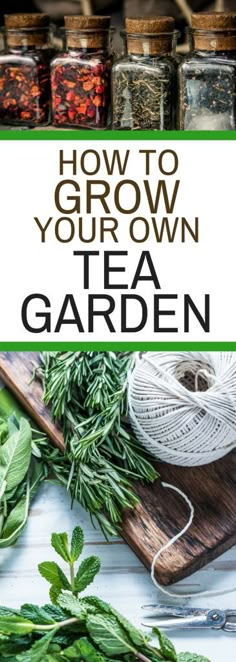 the title for how to grow your own tea garden on a cutting board with herbs and scissors