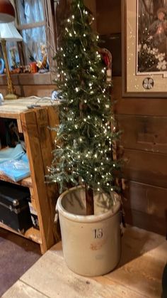 a potted christmas tree sitting on top of a wooden table