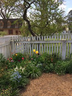 a white picket fence surrounded by flowers and grass