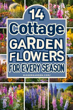 Discover the perfect cottage garden flowers for each season in this guide. From spring’s fresh blooms to summer’s bright colors and fall’s rich hues, learn which flowers will thrive during each season and bring lasting beauty to your garden. Planting Flowers