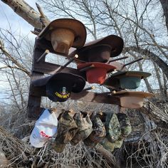 several hats hanging from a tree in the woods