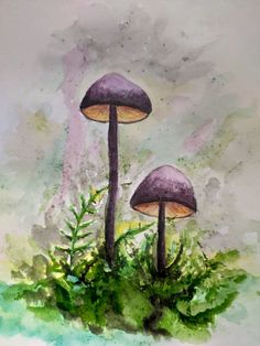 two mushrooms sitting on top of green plants