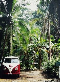 a red and white vw bus driving down a dirt road surrounded by palm trees