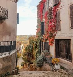 an alley way with flowers growing on the side of buildings and balconies above