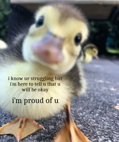 a baby duck is sitting on the ground