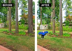 before and after photos of a backyard with trees