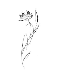 a black and white drawing of two flowers on a white background with long thin lines