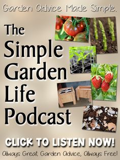 an advertisement for the garden life podcast