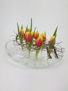 a group of flowers that are sitting in a vase