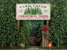 a christmas tree farm sign surrounded by trees