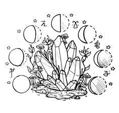 a black and white drawing of plants with moon phases in the sky above them, on a white background