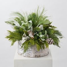 a potted plant with pine cones and greenery in it on a white pedestal