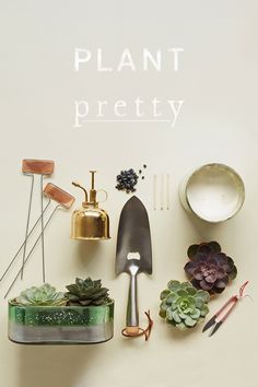 various plants and tools are arranged on a white surface with the words plant pretty above them