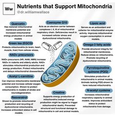 Mitochondrial Myopathy, Mitochondrial Health, William Wallace, Nutritional Therapy, Health Wellbeing, Hormone Health, Medical Knowledge, Health Habits, Holistic Nutrition