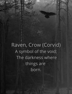 a black and white photo with the words raven, crow corvidd