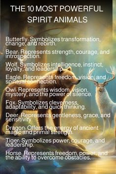 The 10 most powerful spirit animals and their meanings listed against a mystical background. Monkey Spirit Animal Meaning, Power Animal Spirit Guides, Scorpio Spirit Animal, Spirit Symbols, Spirit Animal Quotes, Native American Animal Symbols, Spirit Guide Signs, Taurus Journal, Butterfly Spirit Animal