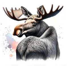 a drawing of a moose with large antlers on it's head and neck