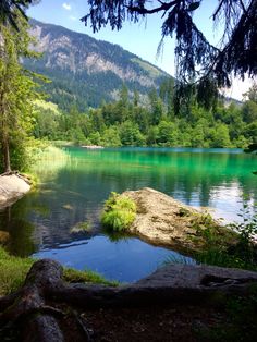 a lake surrounded by trees and rocks in the middle of a forest with mountains in the background