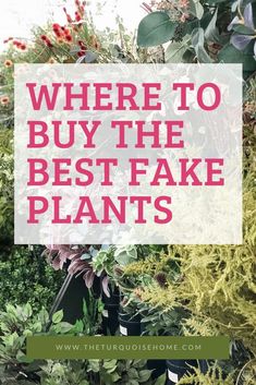 the words where to buy the best fake plants