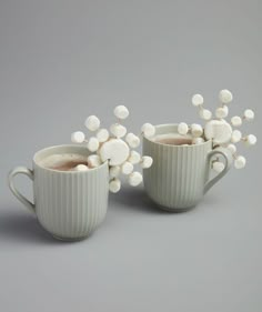 two cups with white flowers in them sitting next to each other on a gray surface