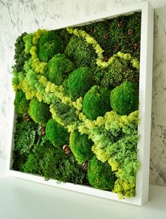 a white box filled with green plants on top of a counter next to a marble wall