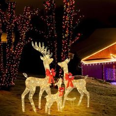 two reindeer statues with christmas lights on them in front of a barn and trees at night