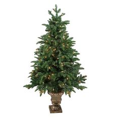 a small christmas tree in a pot with lights on the top and bottom part of it