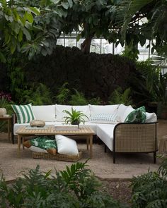 an outdoor living area with couches, tables and potted plants in the background