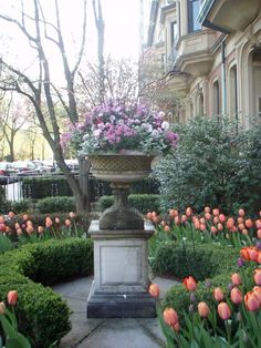 a garden filled with lots of flowers next to tall buildings