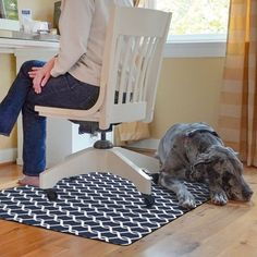 a person sitting in a chair with a dog on the floor next to it and another animal laying down