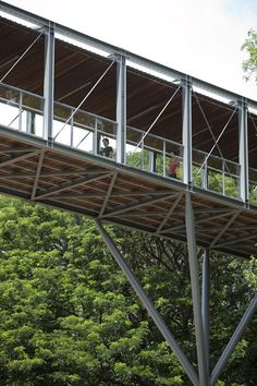 a man standing on top of a tall metal bridge over a lush green forest filled with trees