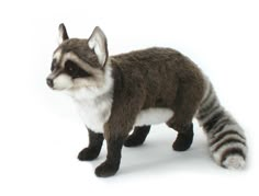 a stuffed raccoon is standing on a white background