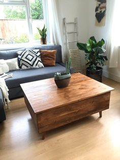 a living room with a couch, coffee table and potted plant in the corner