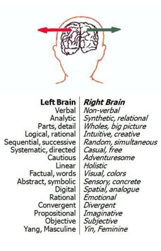 the left and right brain functions are shown in this diagram, with arrows pointing to different areas