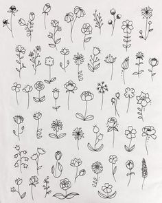 an image of flowers drawn on a white paper with black marker pens and inks