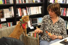 a woman sitting in a chair with a cat on her lap next to bookshelves