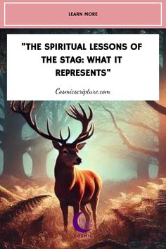 a deer standing in the middle of a forest with text that reads, the spirit lessons of