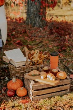 some pumpkins and books are sitting on the ground