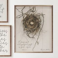 three framed pictures with birds nest on the wall and one has a handwritten quote above it