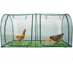 two chickens are walking in the grass inside a chicken coop with mesh netting on top