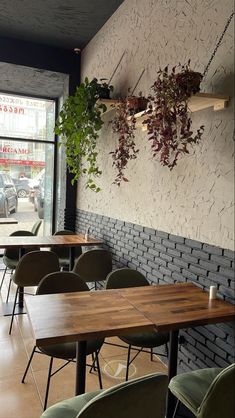 tables and chairs are lined up against the wall with plants hanging above them in a restaurant