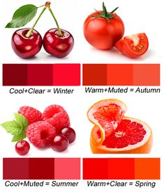 the different fruits and vegetables are labeled in this graphic diagram, which includes cherries, oranges, watermelon, warm - tinted = winter = autumn =