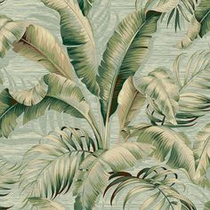 a wallpaper with green and white tropical leaves on blue background, in an area that looks like it has been painted