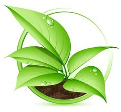 a green plant with water droplets on it's leaves in a round pot filled with dirt