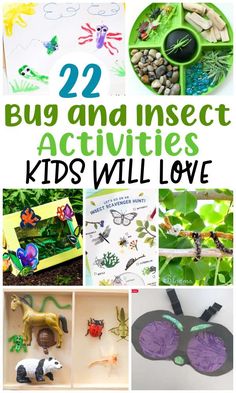 insect activities and crafts for kids that are fun to do with the kids in the classroom